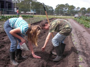 Students learn how to plant and cultivate a garden.  Photo credit Melanie Taylor, UF IFAS Gulf County Extension.