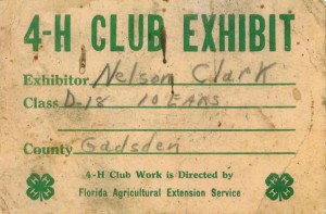 Angel still has her father's 4-H exhibit card for corn he grew and exhibited at the fair. circa 1956