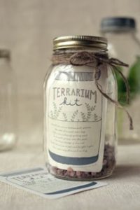 terrarium