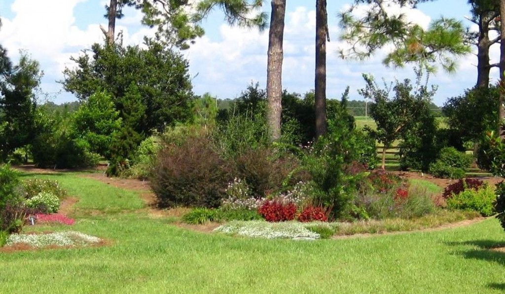 The Discovery Garden, showcasing new plants, in Gardens of the Big Bend at UF/IFAS North Florida Research and Education Center, Quincy.