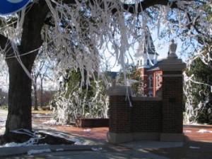 Under the Live Oaks that once stood on Toomers Corner