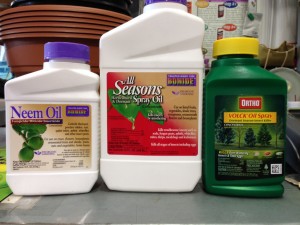 horticultural oil and neem oil bottles