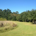 The grassy area between this stormwater pond and woods is an ideal location for a butterfly garden. Willows growing along the edge attract butterflies already. Photo courtesy Carrie Stevenson