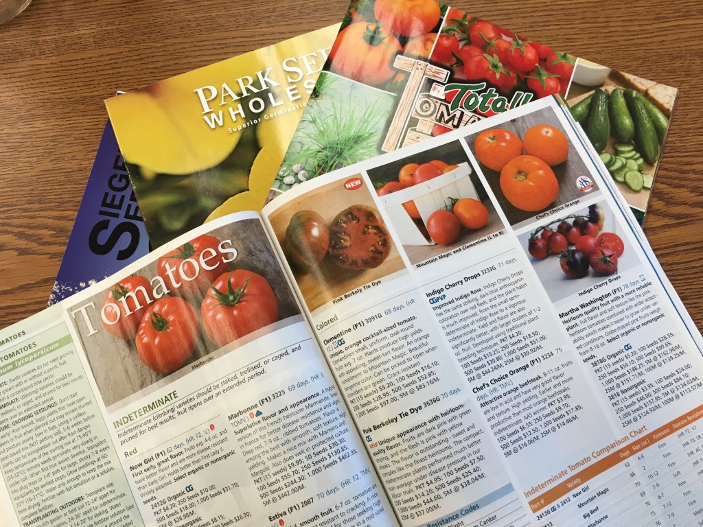 Seed Catalogs.