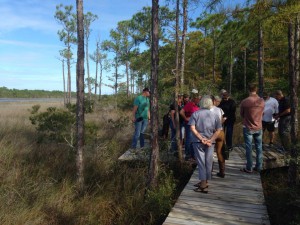 Master Naturalist Jerry Patee leads classmates along his project: a wetland boardwalk in Perdido Key. Photo credit: Carrie Stevenson