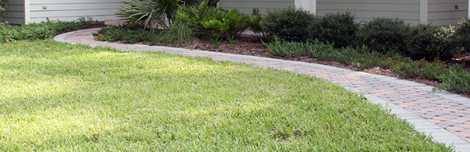 Image courtesy UF / IFAS Florida Friendly Landscaping