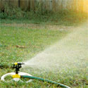 Watering to establish lawn