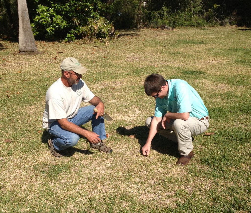 UF/IFAS Extension working with horticulture professionals scouting turf problems. Photo Credit: Blake Thaxton