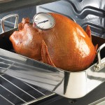 thermometer_in_turkey_in_pan
