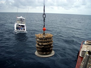 reef workshop picture_scott Picture of a boat and an ecosystem artificial reef
