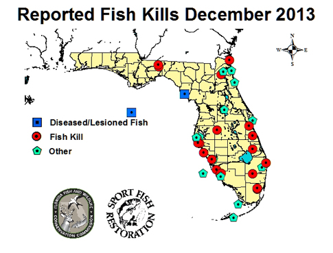 Above is an example of the December 2013 reported fish kill map: http://myfwc.com/research/saltwater/health/reported-fish-kills-abnormalities/gallery/2013-december 