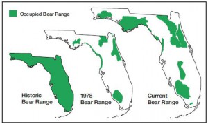 bear ranges