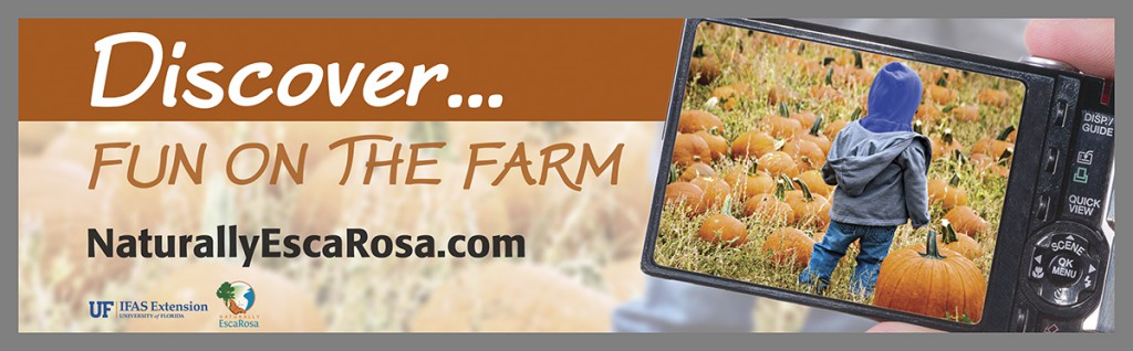 Fall pumpkin billboard