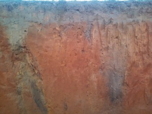 Soil Profile in Gadsden County. Photo by Jennifer Bearden