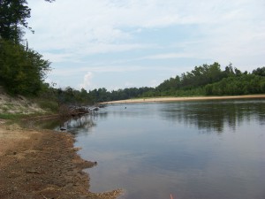 The Escambia River. One of the alluvial rivers of the Florida panhandle. Photo: Molly O'Connor