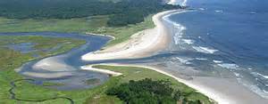 An estuary... where rivers meet the sea. Photo: University of California.Berkley