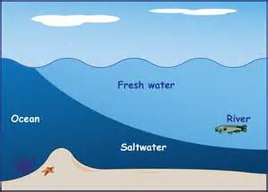 A salt wedge. Graphic: NOAA