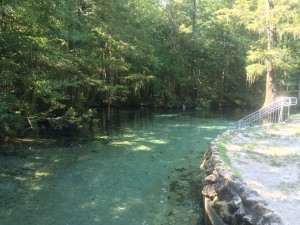 IMG_0397