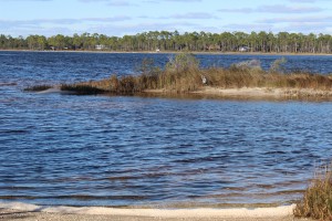 Looking from the kayak launch at Johnson's Beach you can see across the ICW to Big Lagoon State Park. This body of water has seagrass and saltmarshes along 12 miles of natural shoreline ending at an old fortification that can only be accessed by boat. There is plenty of snorkeling, birding, and fishing to do along the way.