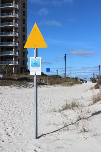The yellow triangle used to locate the reef while you are swimming. These nearshore reefs have a variety of small reef fish and occasionally, in the warmer months, a sea turtle may visit.