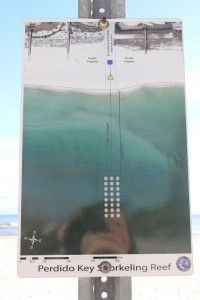 Escambia County Division of Marine Resources has provided three inshore snorkel reefs for the visitor who would like to experience a reef but is not a certified diver. The reefs can be found by aligning the blue square and yellow triangle on the beach. This one is on Perdido Key near Johnson's Beach.