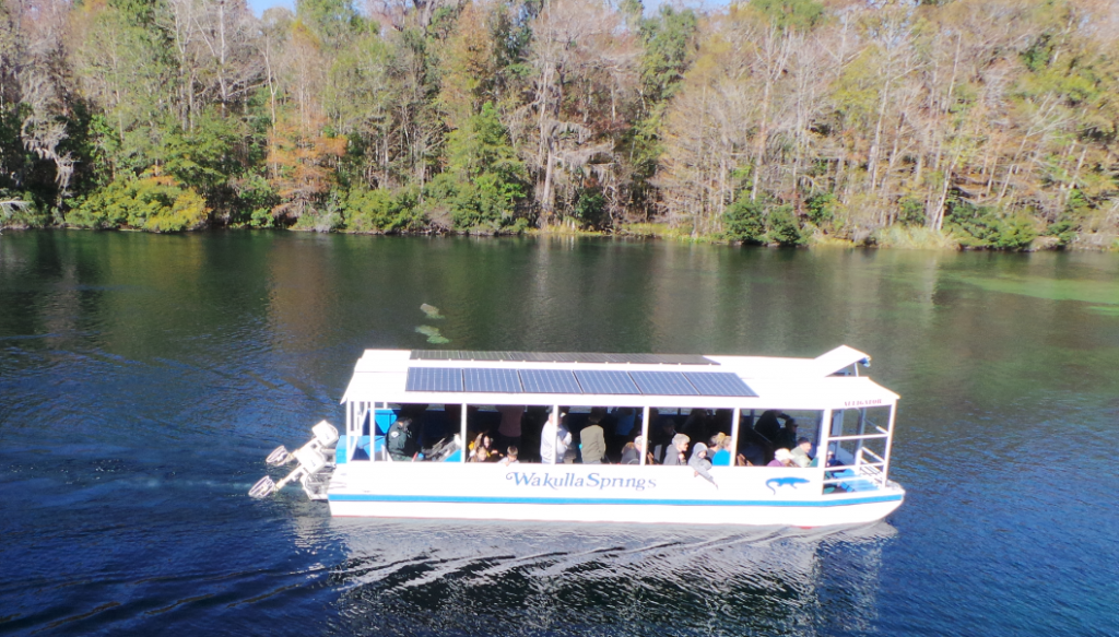 Daily river cruises on the Wakulla River are a great way to see manatees and other unique wildlife. Photo: L. Scott Jackson