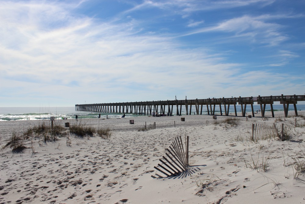 Weekly “What is it?”: Sand fleas (mole crabs) - UF/IFAS Extension Escambia  County