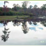 Bay County pond with no observed Giant Slavinia. Take Oct 2013 by Derek Fussell, FWC.