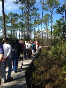 Master Naturalist students walk "The Way" boardwalk in Perdido Key. Photo credit: Carrie Stevenson