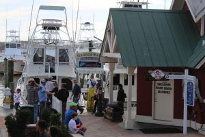 Charters include fishing, diving, snorkeling, and some collect marine life for you to see. 