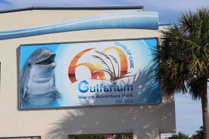 The Gulfarium in Ft. Walton Beach gives those who do not get a chance to go offshore, or dive, to see some of the unique marine organisms found in the Gulf of Mexico. 