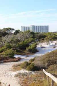 Henderson State Park is on the south side of Highway 98. It has hiking trails, campground, and access to the Gulf. This is a nice natural location within a very urban area. 