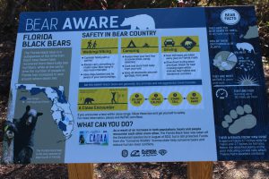 Partly due to successful bear management and partly due to the increase population of humans in the Florida panhandle, bear encounters are in the increase. This sign at Eden Garden State Park provides information on how to deal with an encounter.