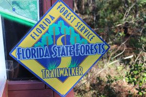The Florida State Trailwalkers Program is a neat way to encourage locals to visit their "natural landscape". You must hike 10 of the selected trails (on their website provided in this article). There is a log you can download and when you have logged your 10 hikes mail it in. You will receive a free patch indicating you are a "Florida Trailwalker"! This is a great way to explore your "natural Florida".