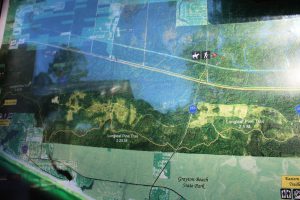 There are trails that cross Point Washington State Forest that can be driven, hiked, or even explored on horseback.