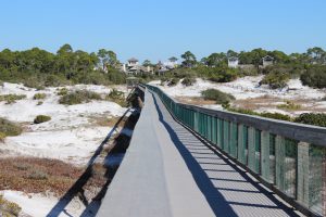 The boardwalk of Deer Lake State Park off of Highway 30-A. you can see the tracks of several types of mammals who pass under at night.