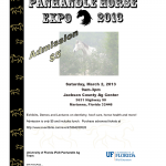 2013 Horse Expo Flyer