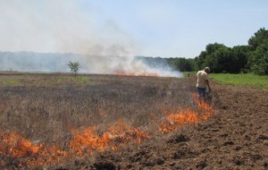Burning fields and pastures has many benefits.