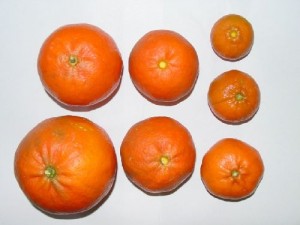 citrus potassium deficiency