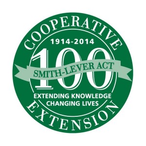 100 US Extension logo