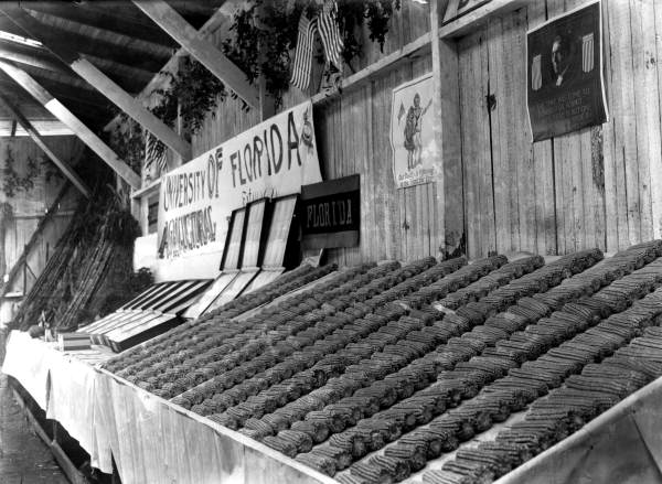 Corn Club exhibit at the Jackson County fair, 1917.  Photo Credit: State Archives of Florida, Florida Memory, http://floridamemory.com/items/show/35976