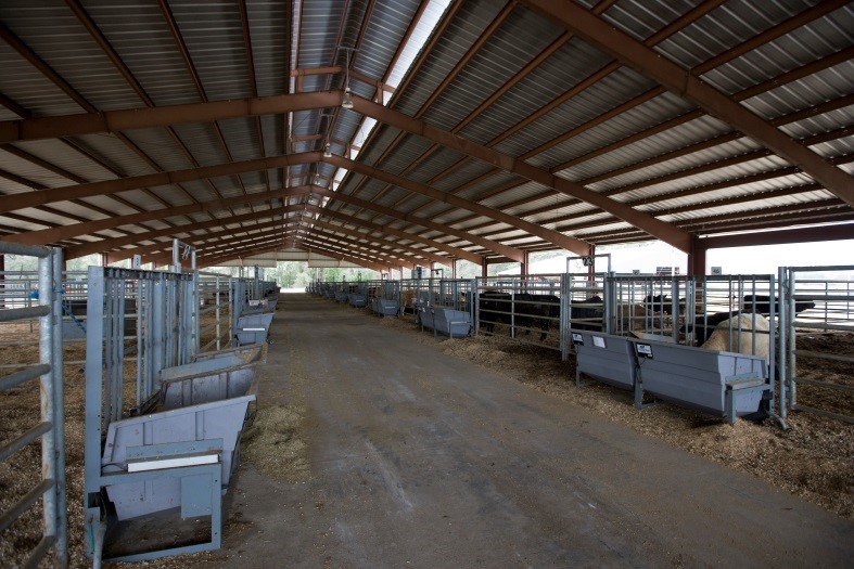 The North Florida Research and Education Center Feed Efficiency Facility