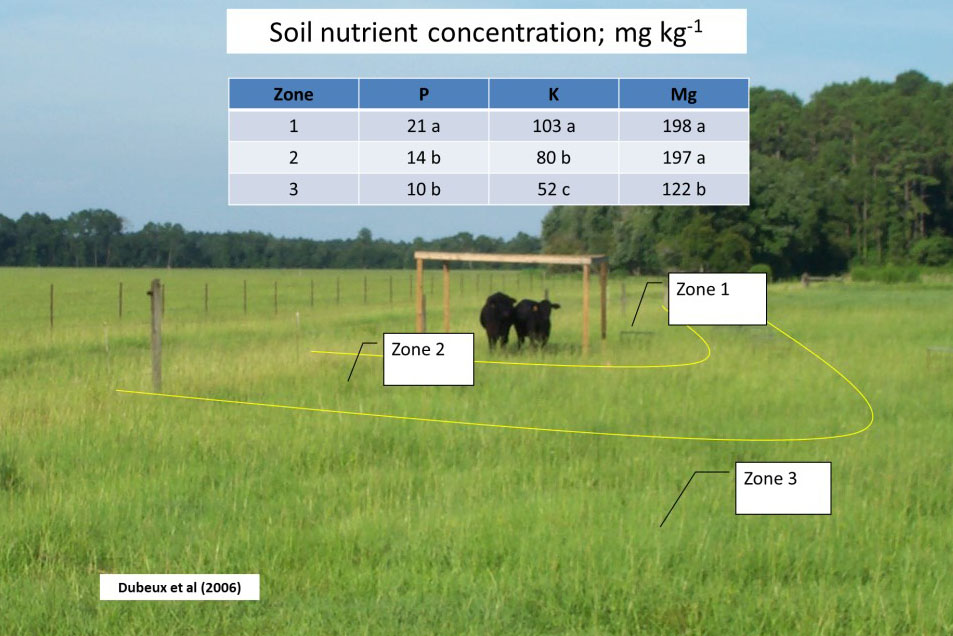 Figure 1. Soil nutrient concentration at different pasture locations according to the distance from shade and water; zone 1 is the closest zone to shade and water, zone 2 is an intermediate zone, and zone 3 is the remaining area of the pasture (Dubeux et al., 2006).