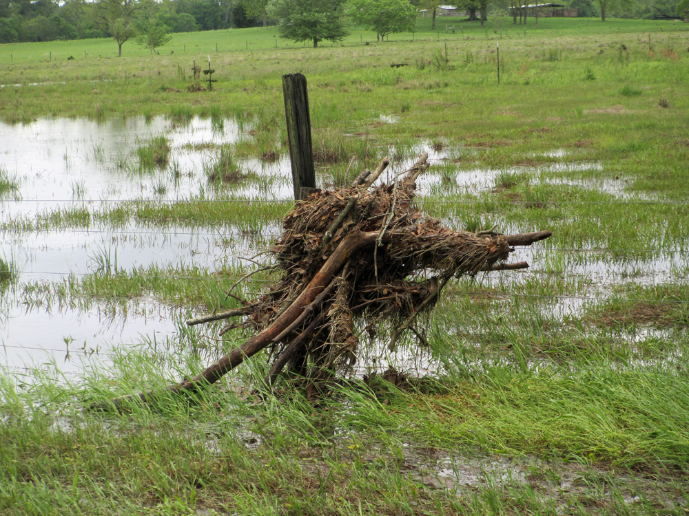 Debris caught in a fence of a Jackson County ranch during a flash flood in April.