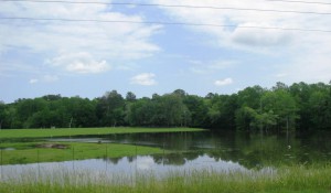 Holmes County pasture standing in water.