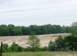 Sheet erosion in Holmes County field.  Courtesy of Shep Eubanks