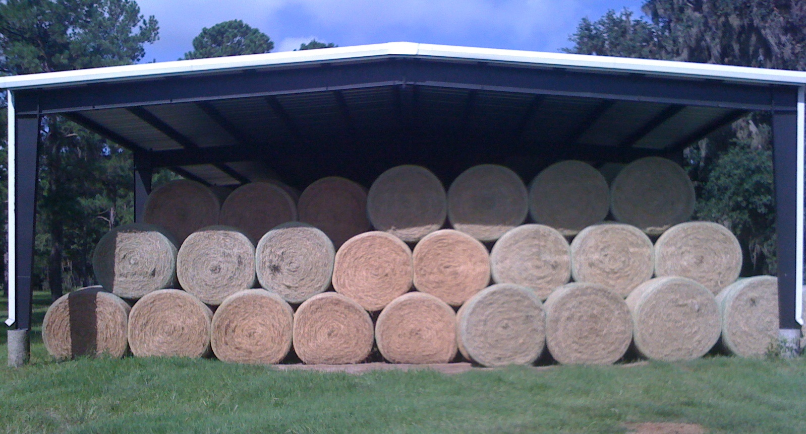 Well-made, dense hay bales maintain their quality during storage and decrease the amount of wasted hay and dollars during the winter feeding period. (Alachua, Florida)