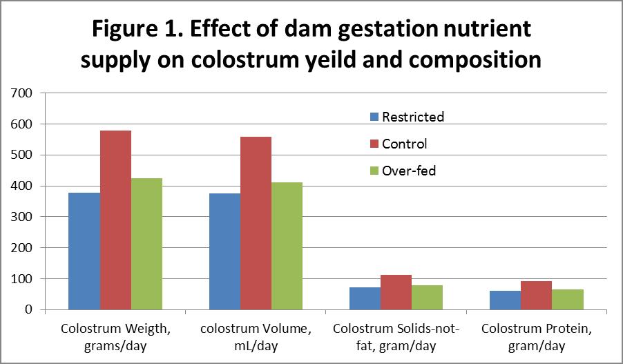 Effect of a dam's nutrition during gestation on colostrum yield and composition.