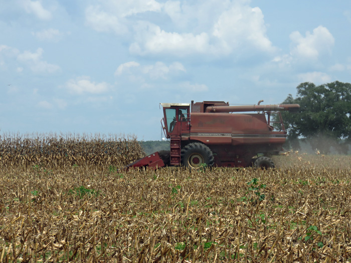 Combines are rolling along at Dietrich Farms in Jackson County this week.  Photo credit:  Doug Mayo