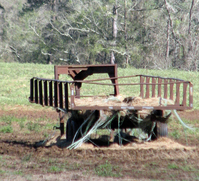 Even if net wrap isn't removed before feeding, using a trailer to keep the hay off the ground helps keep the pasture free of wrap. Photo Credit: Jed Dillard